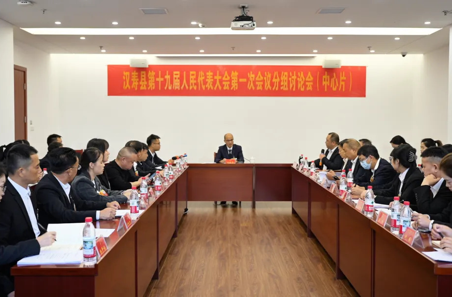 【聚焦两会】汉寿县第十九届人民代表大会第一次会议继续开展分组讨论