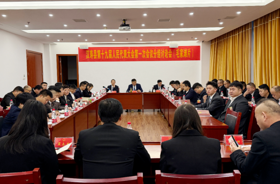 【聚焦两会】汉寿县第十九届人民代表大会第一次会议继续进行分组讨论
