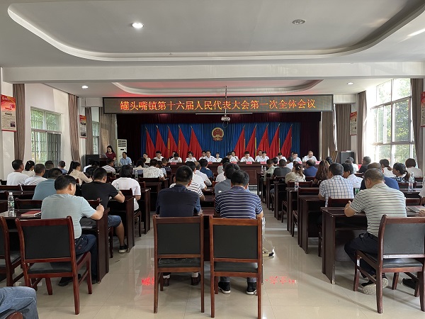 罐头嘴镇第十六届人民代表大会第一次会议圆满闭幕