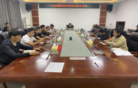 丰家铺镇：培训提水平，服务便于民