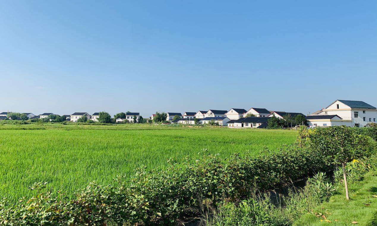 聂家桥乡：考核评比促整治   人居环境焕“新颜”