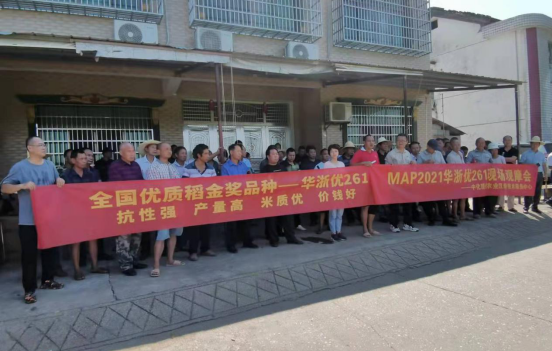 崔家桥镇召开优质稻现场观摩会