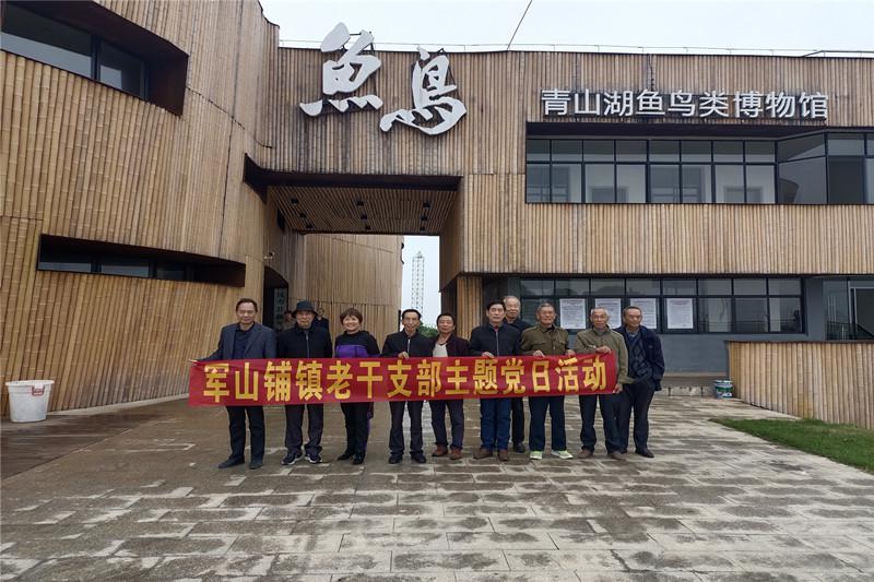 军山铺镇老干支部开展“我们的节日·重阳”主题党日活动