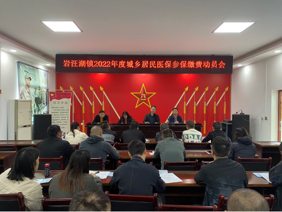 岩汪湖镇召开2022年度城乡居民医保参保缴费动员会