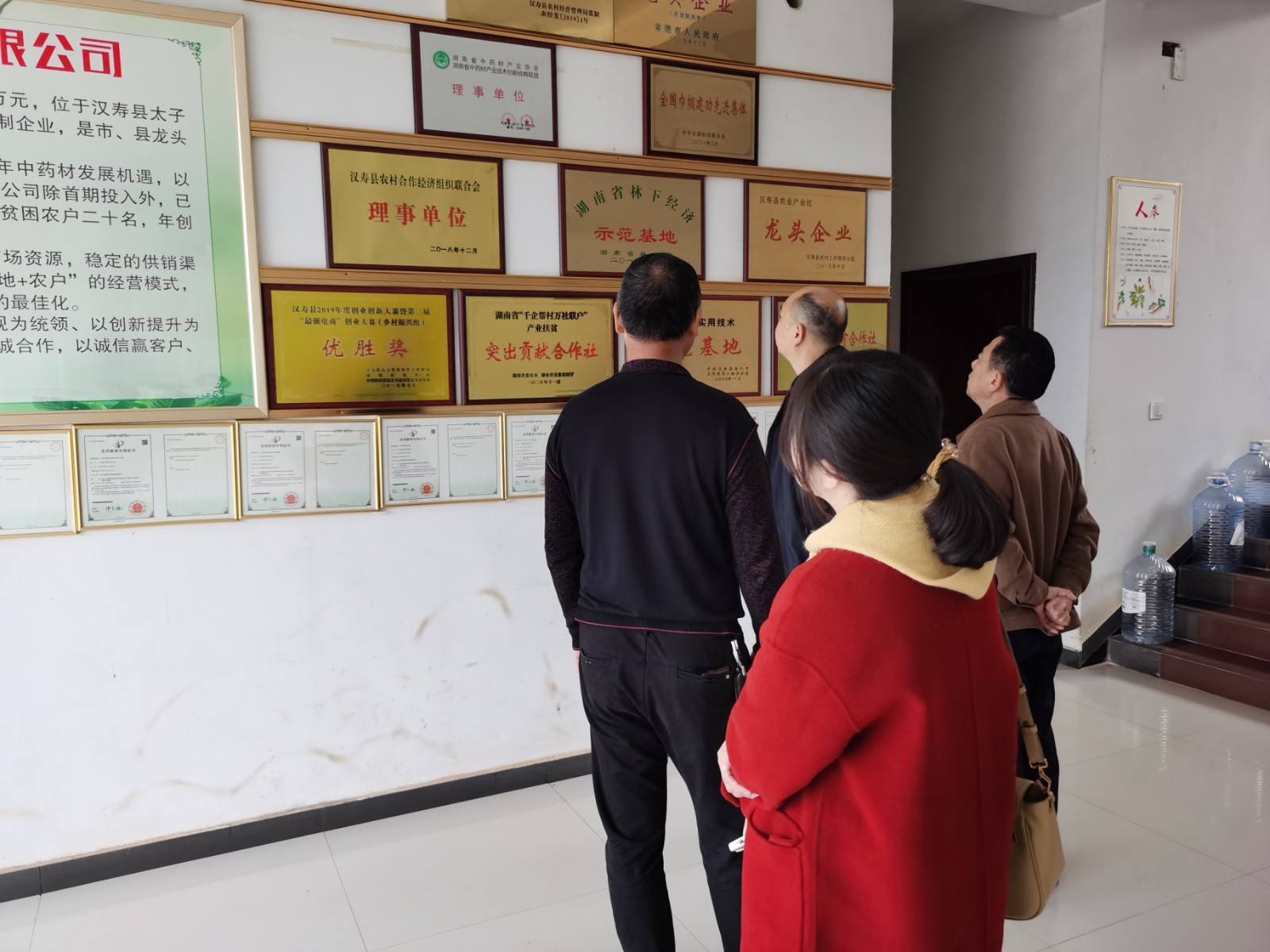 汉寿县林业局：走访调研林下经济