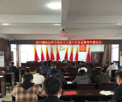 洲口镇传达学习党的十九届六中全会精神