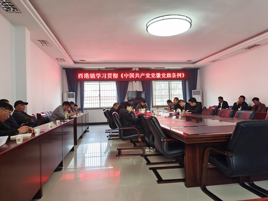 酉港镇：学习贯彻《中国共产党党徽党旗条例》
