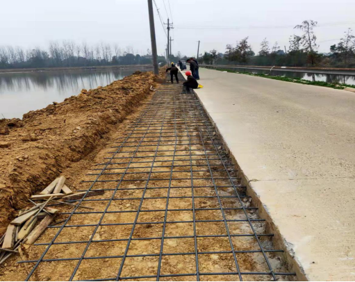 岩汪湖镇：拓宽产业路 致富有门路