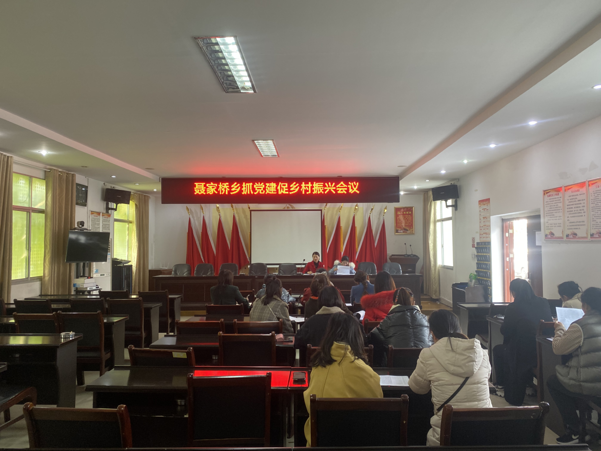 聂家桥乡召开抓党建促乡村振兴会议
