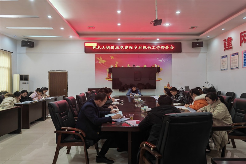 株木山街道召开抓党建促乡村振兴工作部署会