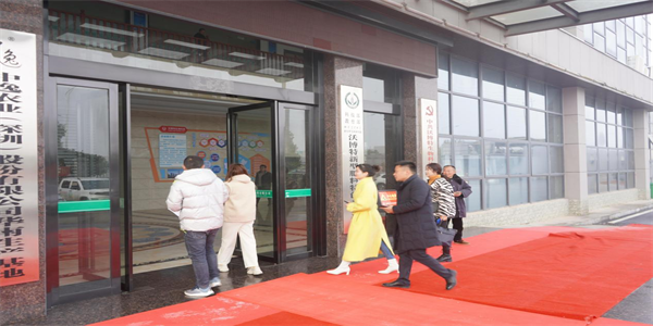 汉寿县教育局：优化营商环境  提升育人水平
