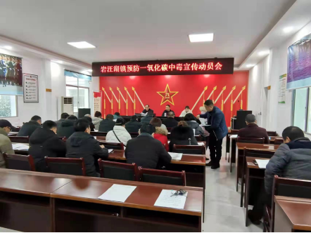 岩汪湖镇开展预防一氧化碳中毒工作宣传