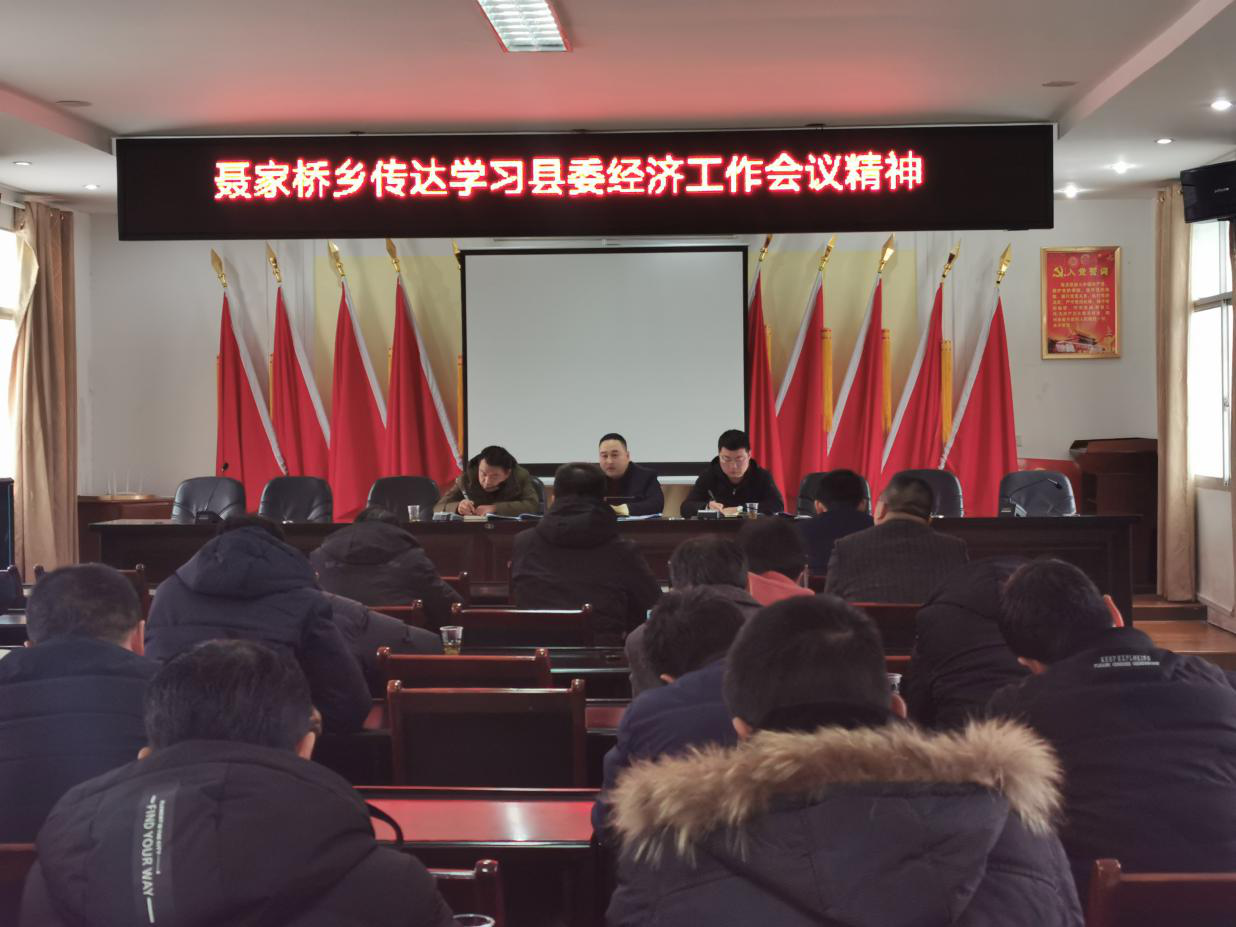 聂家桥乡迅速传达学习县委经济工作会议精神、县第十三届纪委第二次全体会议精神