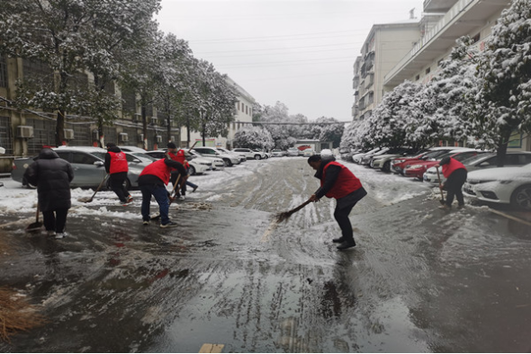 汉寿县农业农村局开展铲冰除雪志愿活动