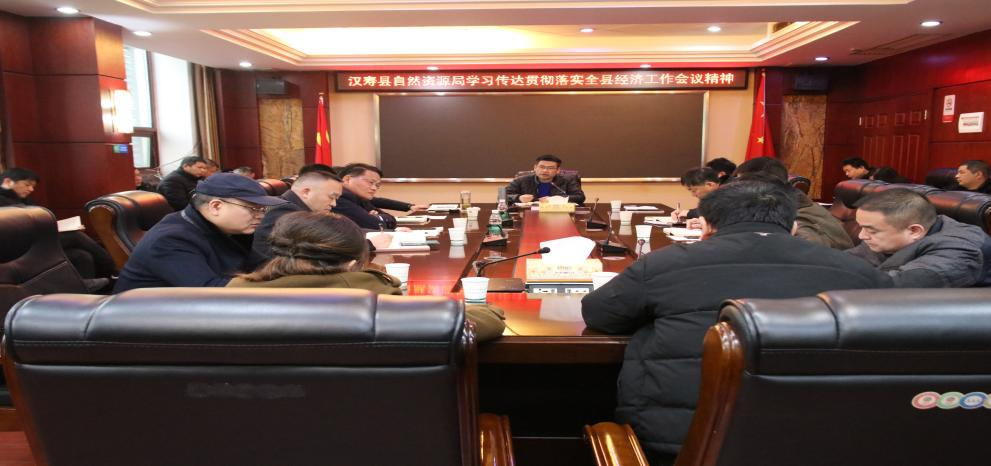 汉寿县自然资源局学习贯彻县委经济工作会议精神