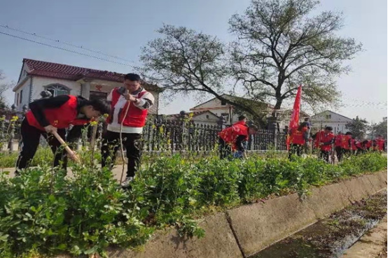 汉寿县农业农村局：开展“多一片绿叶，多一份温暖”义务植树主题党日活动