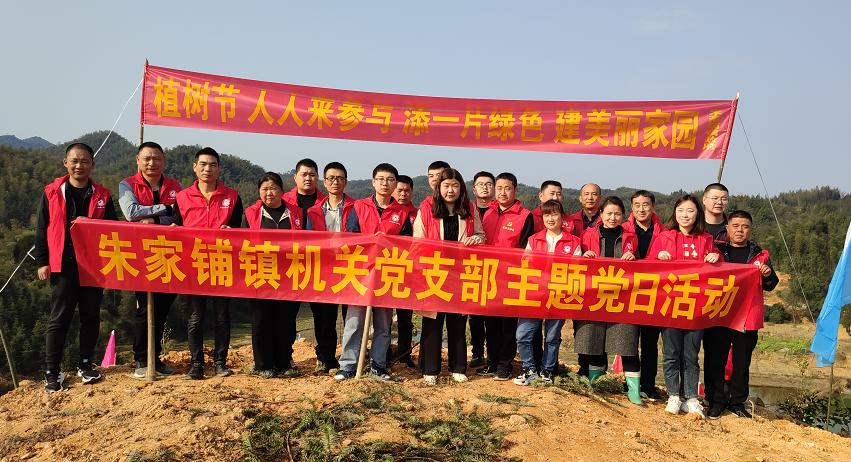 朱家铺镇：开展“绿化龙阳”主题党日活动活动