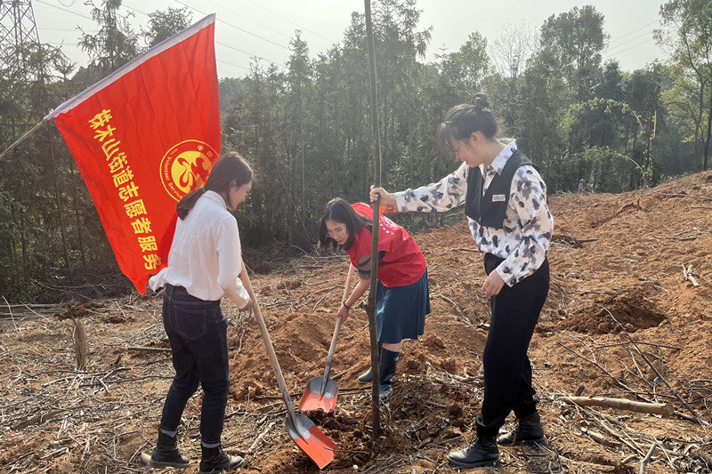株木山街道： 不负春光栽新植 植树造林添新绿