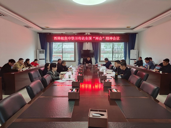 酉港镇召开会议传达学习全国两会精神