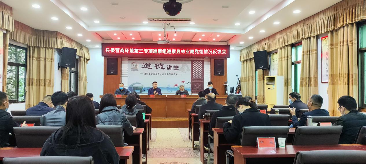 汉寿县委营商环境第三专项巡察组向县林业局党组反馈巡察情况