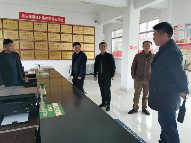 坡头镇：督导早稻生产 扛牢粮食安全责任