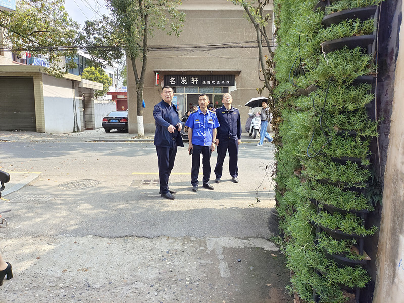 【三建三拆进行时】聚焦工作提质   凸显透绿效果