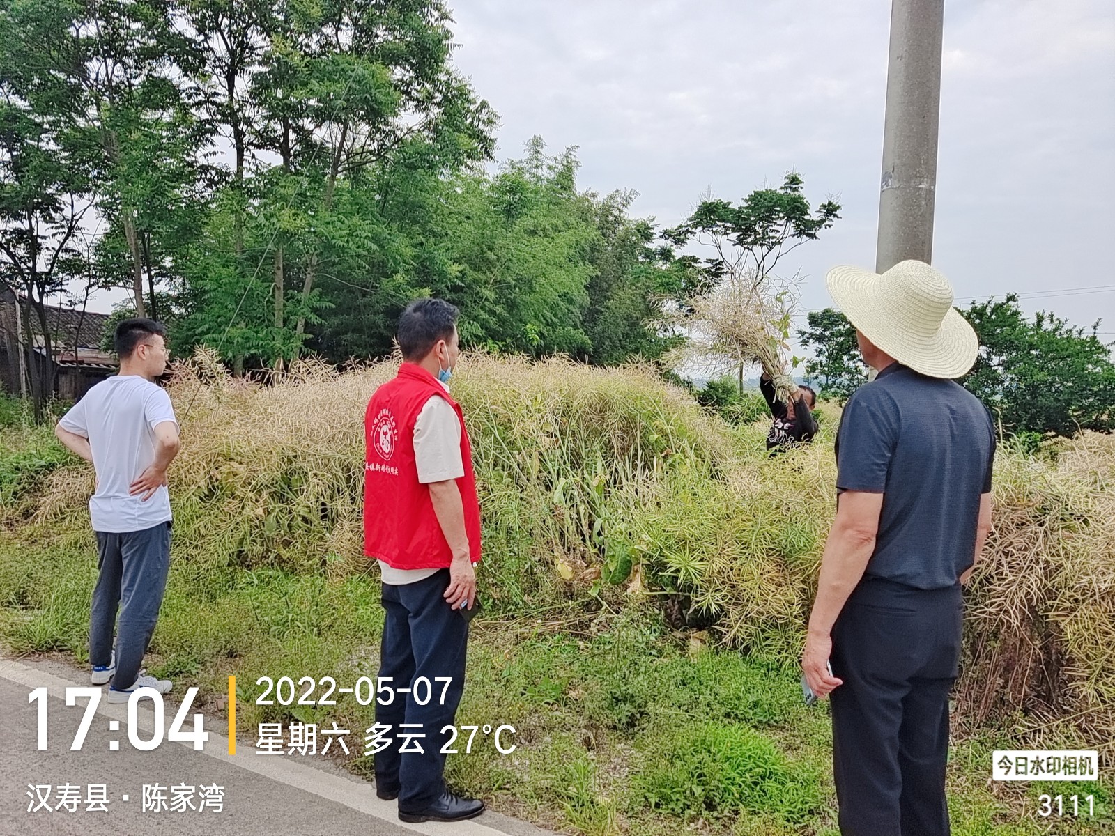 坡头镇：开展油菜秸秆禁烧巡查