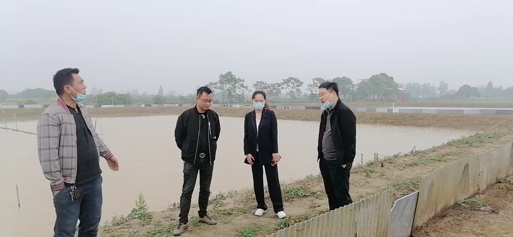 坡头镇：督导耕地“非粮化”整改工作