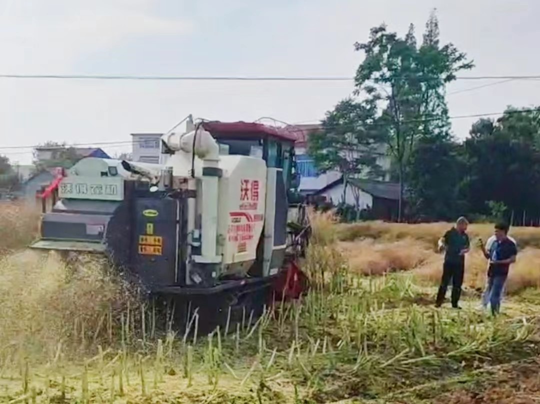 酉港镇：机械化助力秸秆禁烧