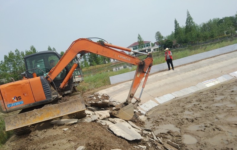 坡头镇：耕地整改  毫不手软
