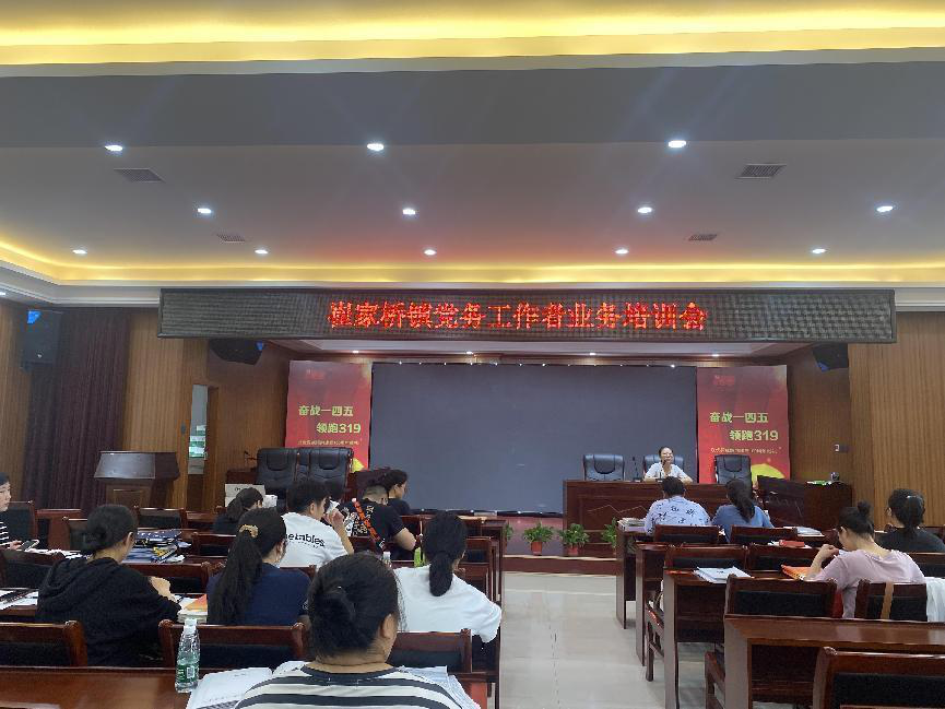 崔家桥镇召开党务工作者业务培训会