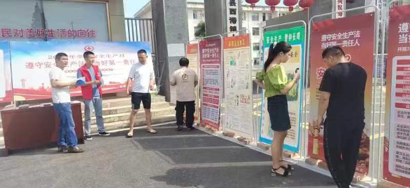 酉港镇：开展2022年“安全宣传咨询日”活动