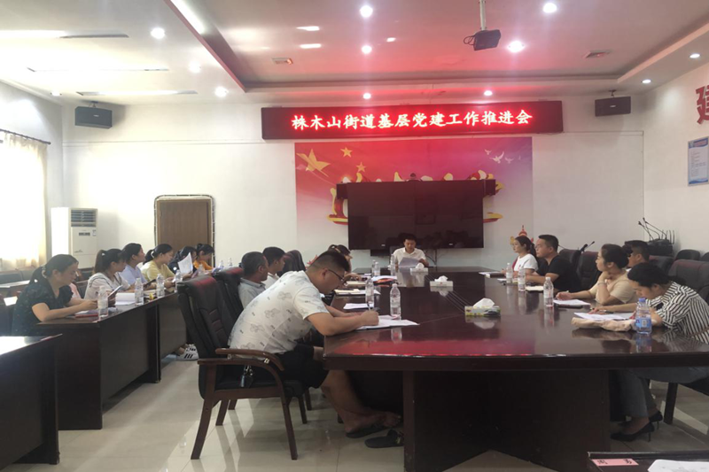 株木山街道召开基层党建工作推进会