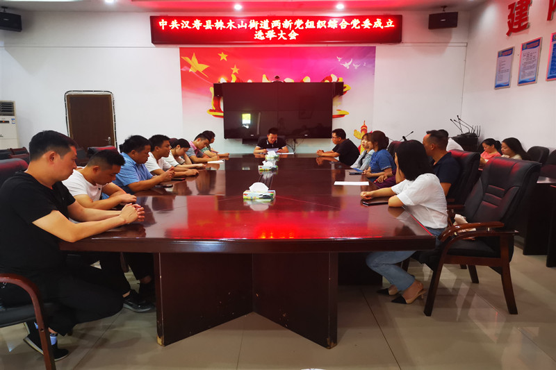 株木山街道召开“两新”组织综合党委成立选举大会