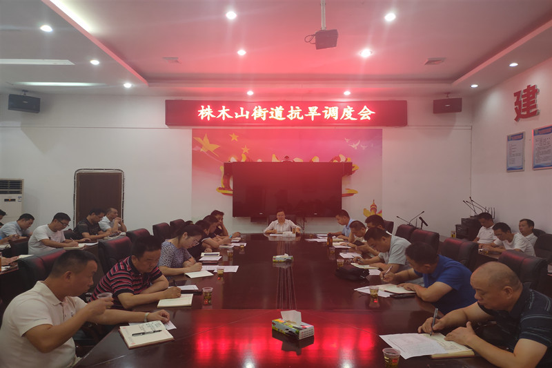 【抗旱保收】株木山街道：群策群力抗大旱
