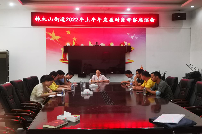 株木山街道召开2022年上半年发展对象考察座谈会