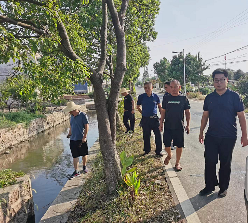 罐头嘴镇：加强人居环境检查  擦亮乡村振兴底色