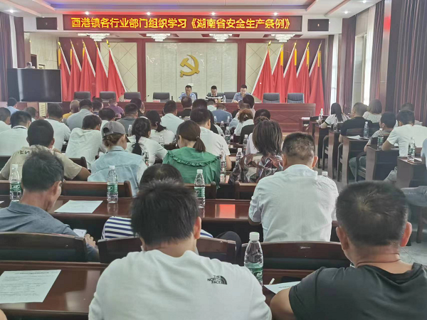 【安全生产进行时】酉港镇组织各行业部门学习《湖南省安全生产条例》