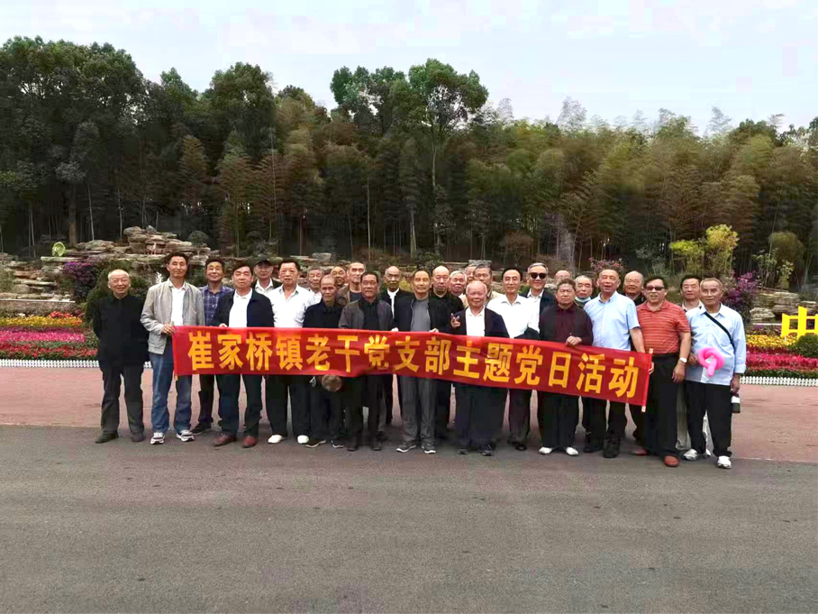 崔家桥镇开展“喜迎二十大”主题党日活动