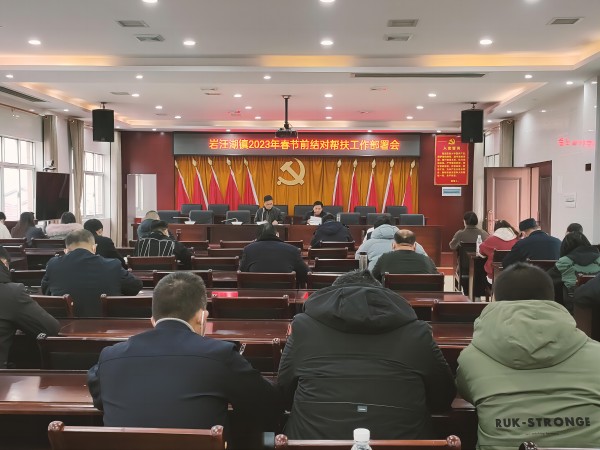 岩汪湖镇：春节走访送关怀 岁寒情暖慰人心