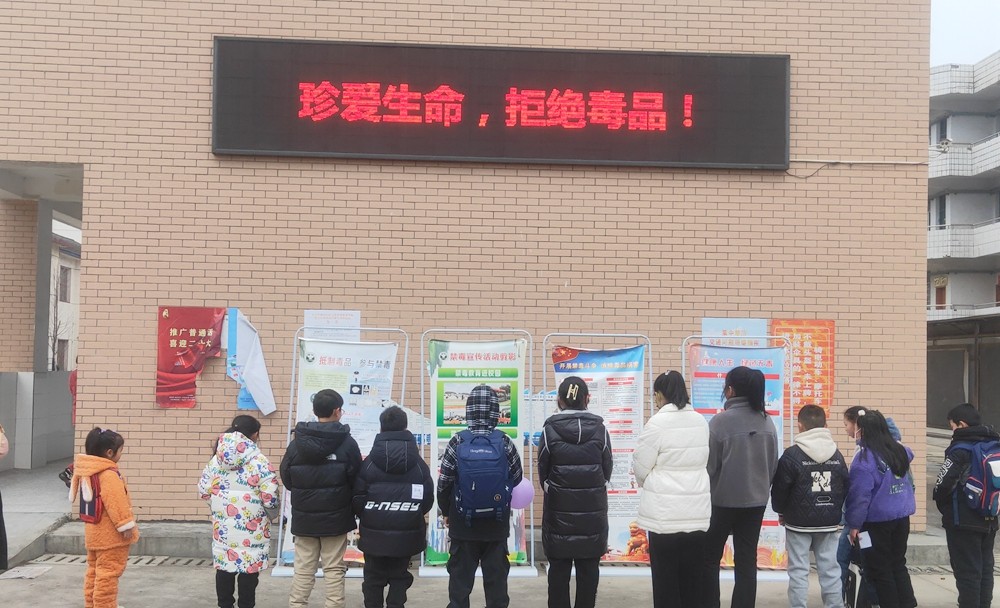 坡头镇开展“禁毒教育进校园”主题宣传活动