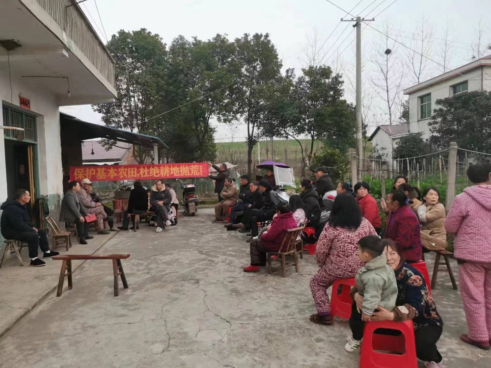 扛牢粮食安全  坡头镇在行动