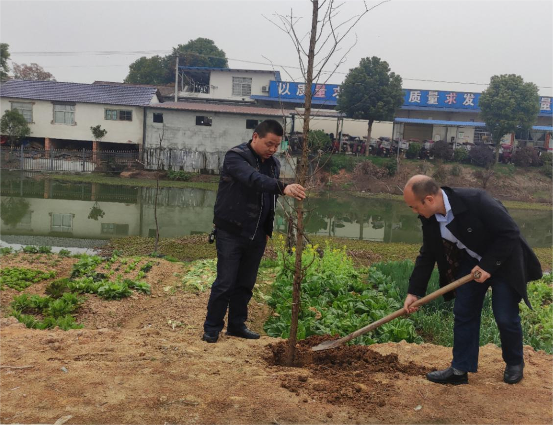 岩汪湖镇：植树造林添绿意  人大代表在行动