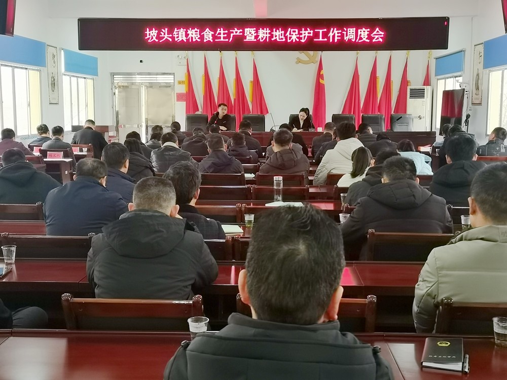 坡头镇：一犁烟雨伴春耕 党员齐心助农忙