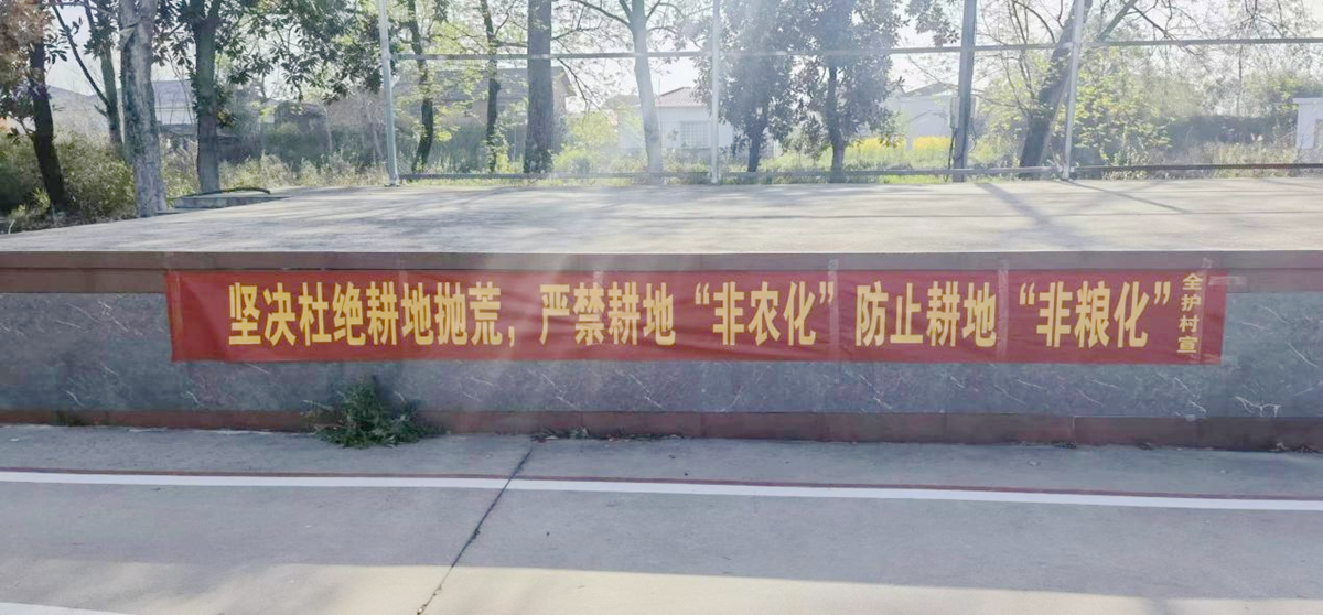 坡头镇：多措并举为早稻生产保驾护航