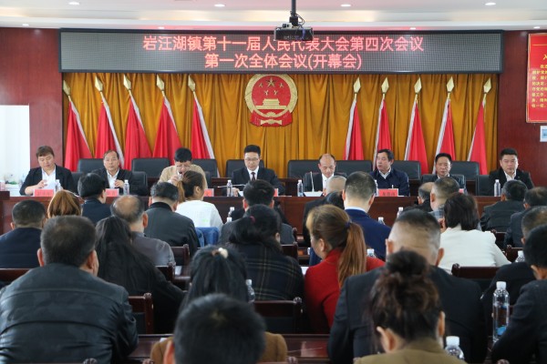 汉寿县岩汪湖镇第十一届人民代表大会第四次会议召开