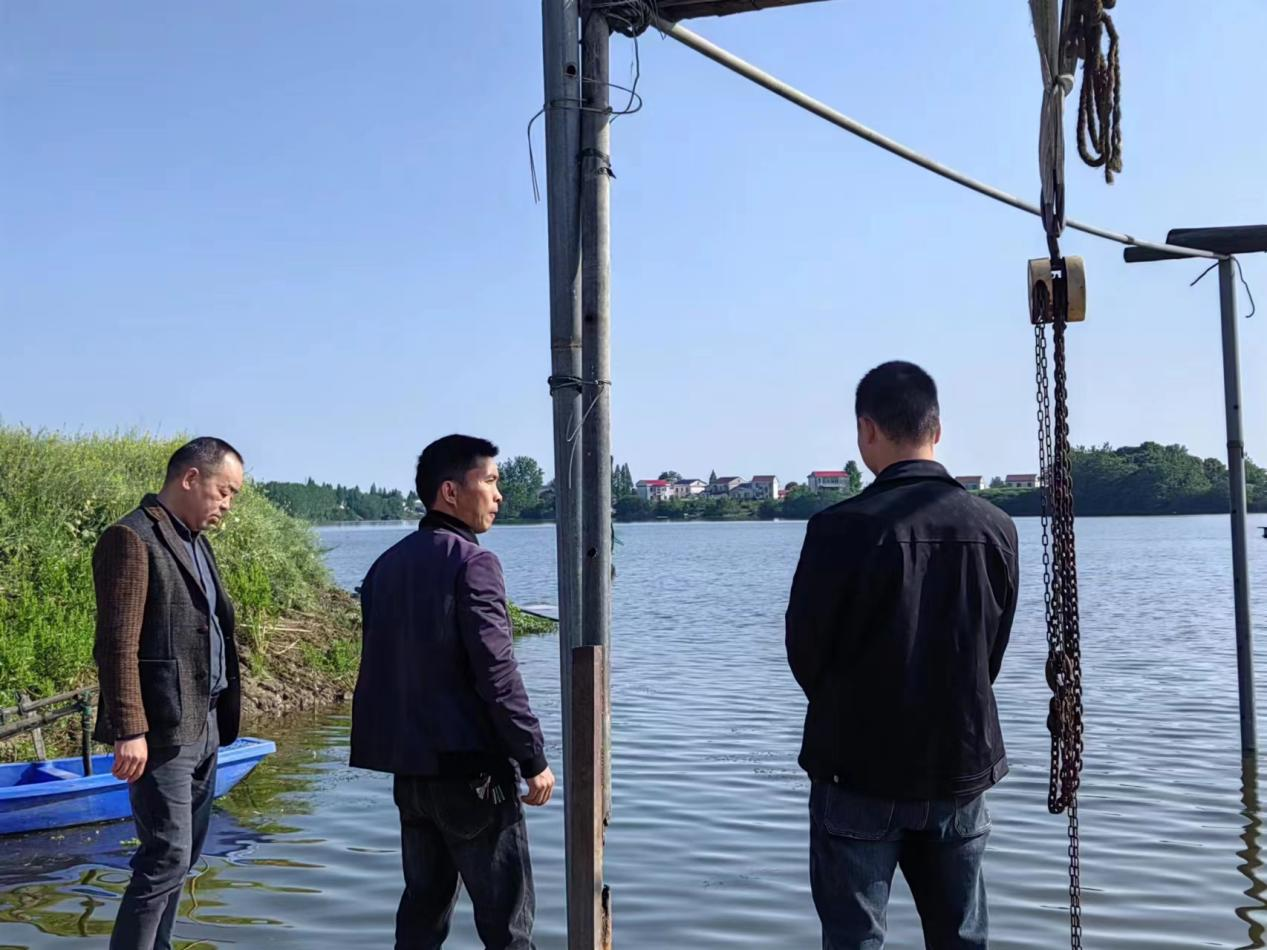 【打好安全生产巩固提升仗】汉寿县坡头镇：种养水生植物   实现水体净化