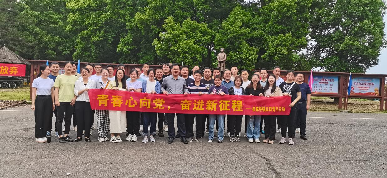 汉寿县崔家桥镇开展“青春心向党，奋进新征程”青年党员活动