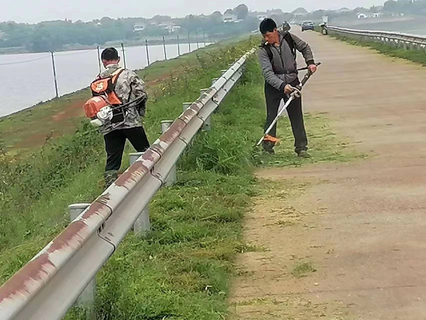 汉寿县百禄桥镇积极推进农村人居环境整治工作