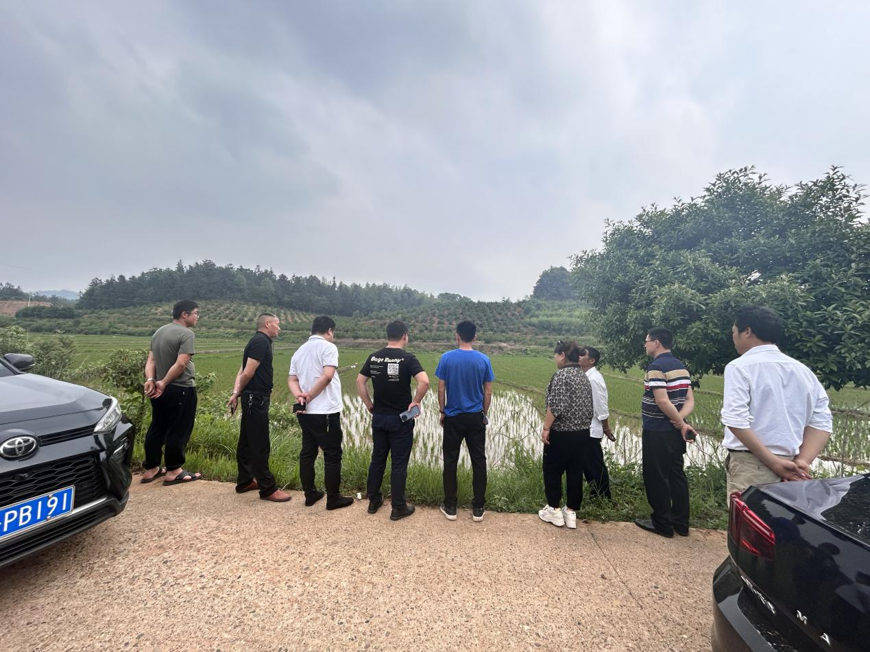 汉寿县军山铺镇举办早稻生产现场交流会：现场比学促进步  座谈交流互学习